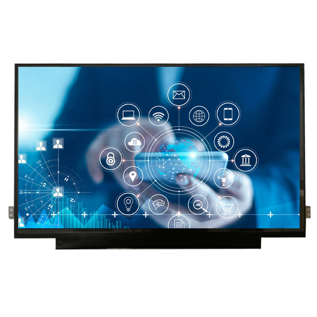 BOE TFT LCD Display Module 11.6 inch 