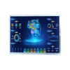 TM150TDSG70 TIANMA LCD Display Module 15 inch