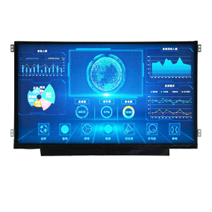 11.6 인치 높은 밝기 LCD 화면 1920*1080 IPS 1500nits 30 핀 