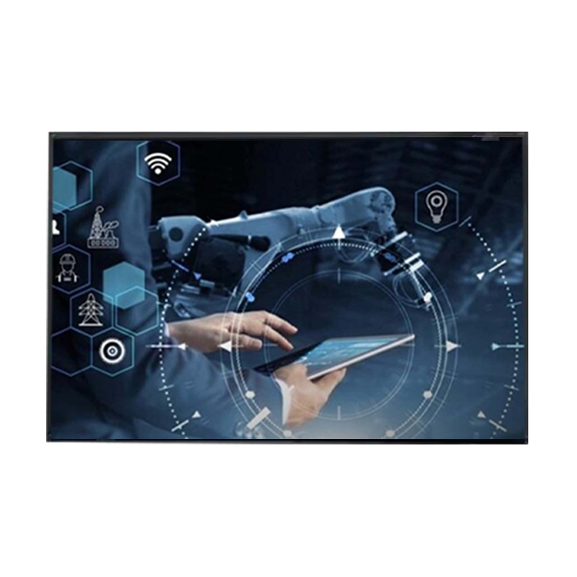 AUO 10.1 inch LCD Display Module 