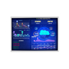 10.1 inch 1920*1080 IPS 1000nits 40pins High Brightness LCD Screen