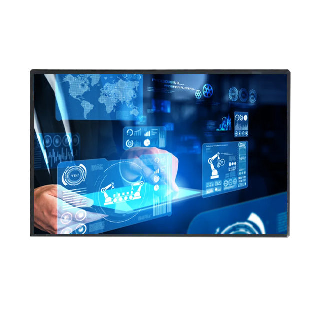 AUO TFT LCD Display Modules 10.1 inch 